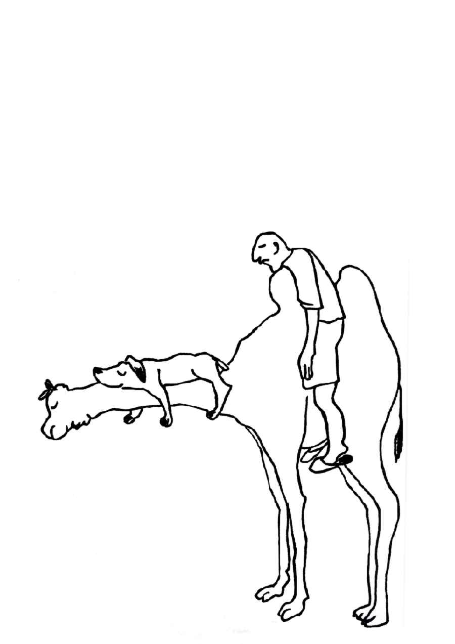 Hund_u_M_Schlafend_langer_H